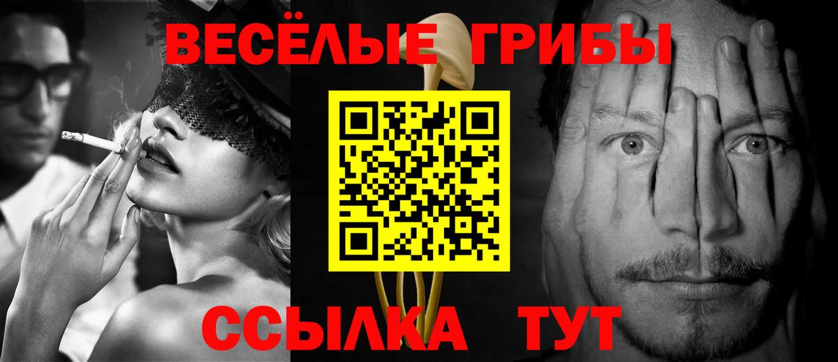 Псилоцибиновые грибы GOLDEN TEACHER  Галлюциногенные грибы мухоморы  Биробиджан 